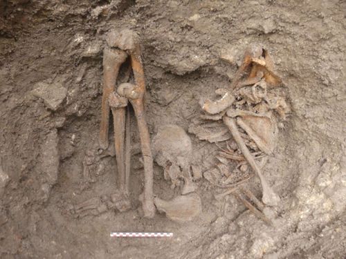 Deuxième squelette découvert les mains attachées dans le dos, rue Porte-Saint-Jean à Orléans (crédits : Pôle d'archéologie, 2019)