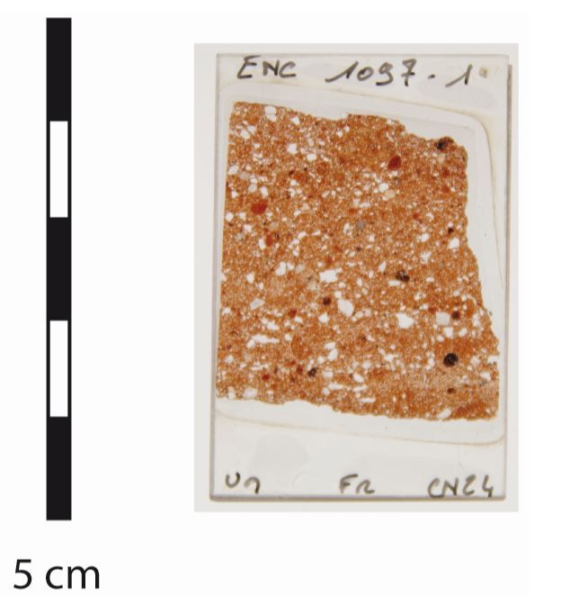 Lame mince de l'échantillon ENC 1097-1 (crédits : Service d'Archéologie, 2024)