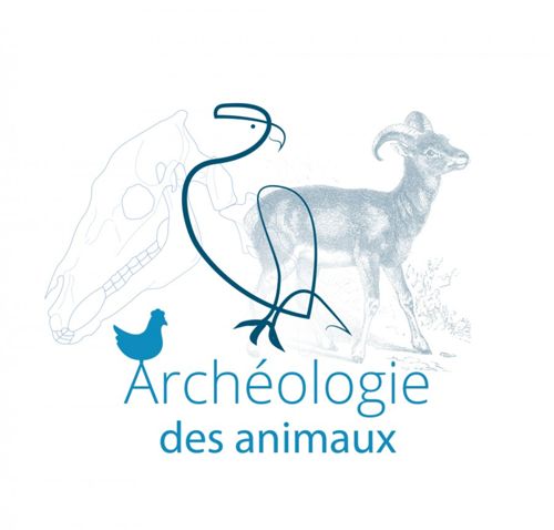 Archéologie des animaux