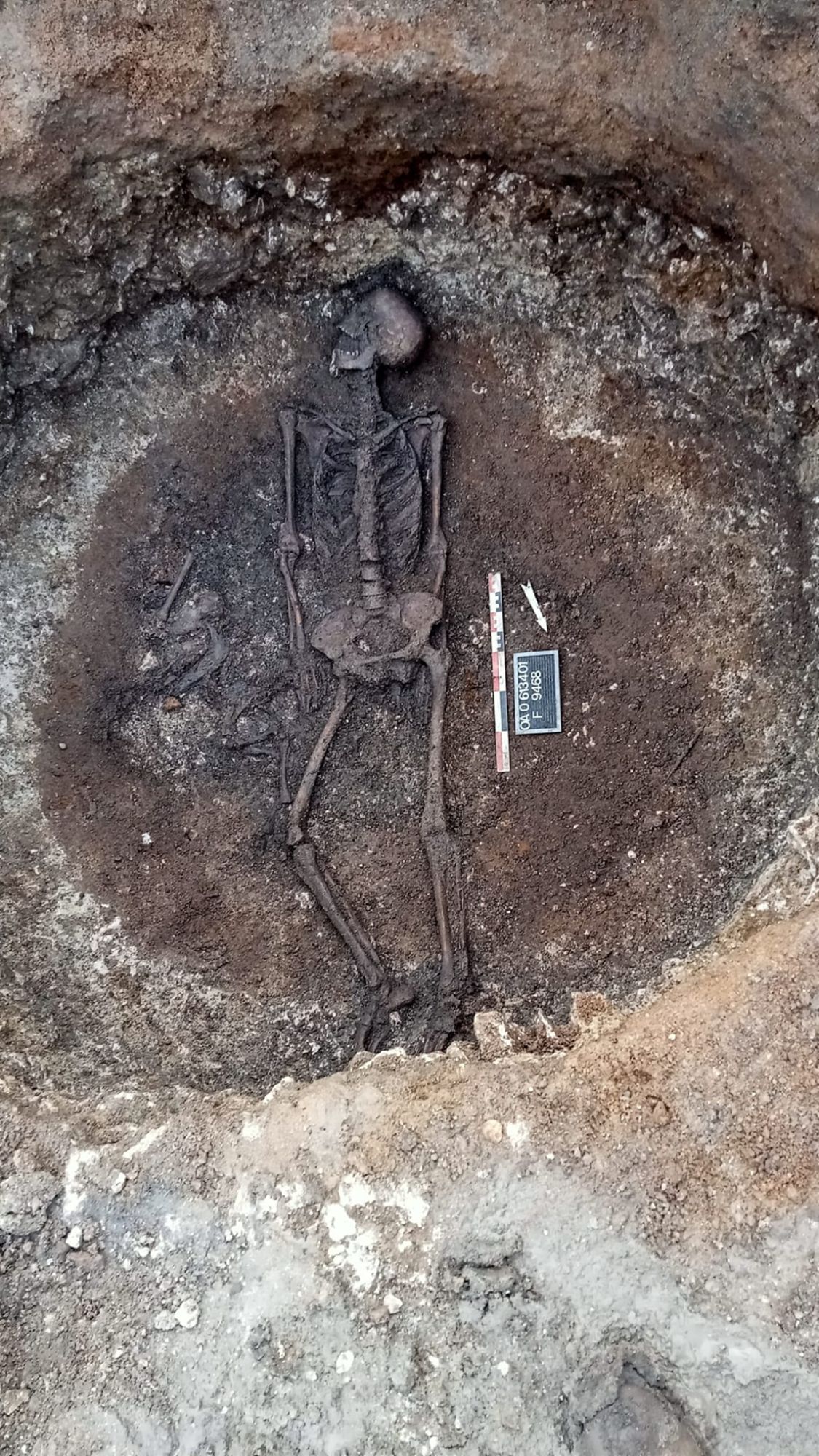 Sépulture protohistorique déposée dans le fond d’un silo (SAVO, 2025)