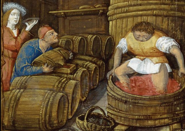 2025 : Des vignes aux caves en Val de Loire