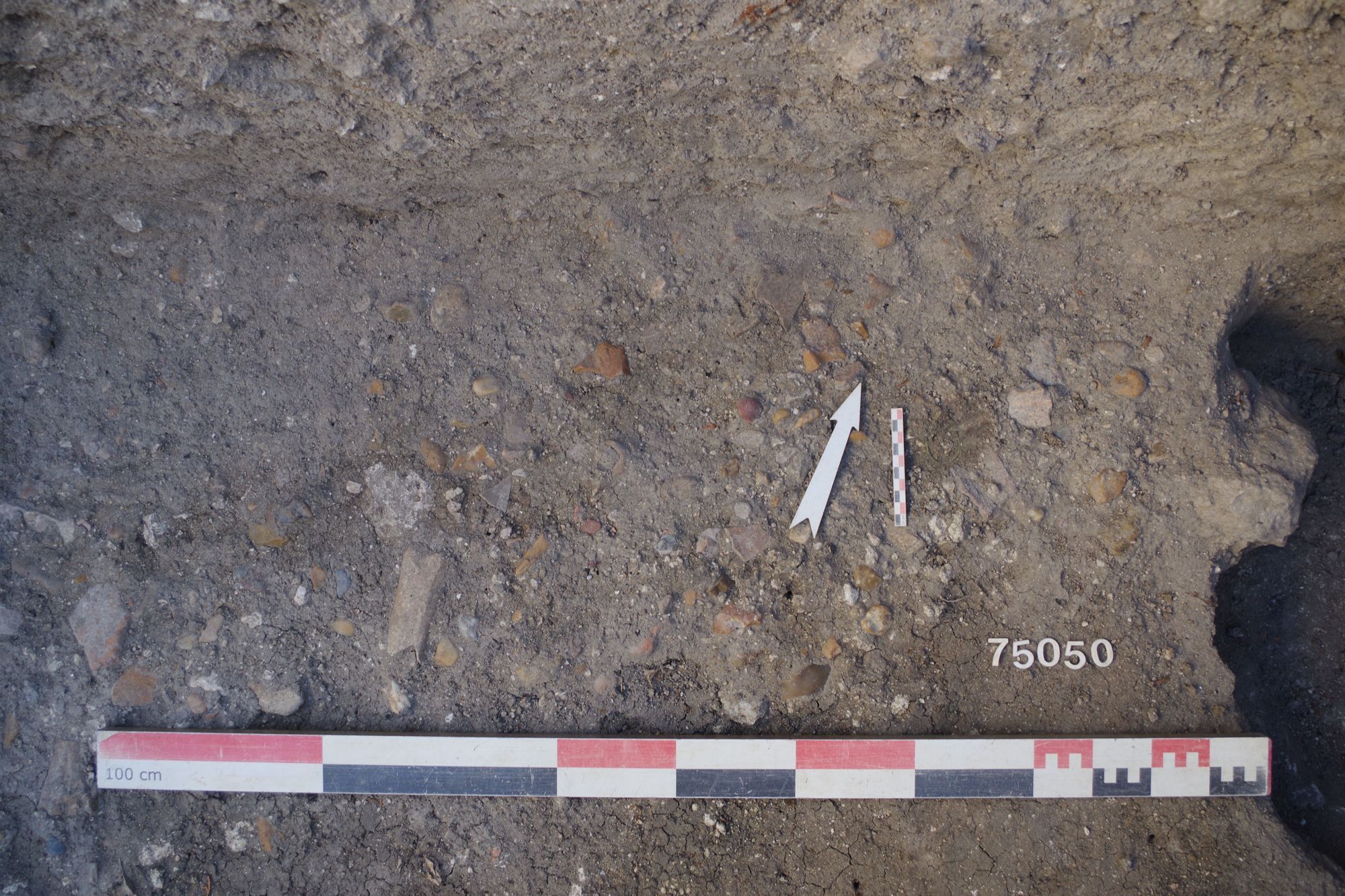 Niveau de circulation découvert dans le sondage devant l’Hôtel-Dieu (SAVO, 2025)