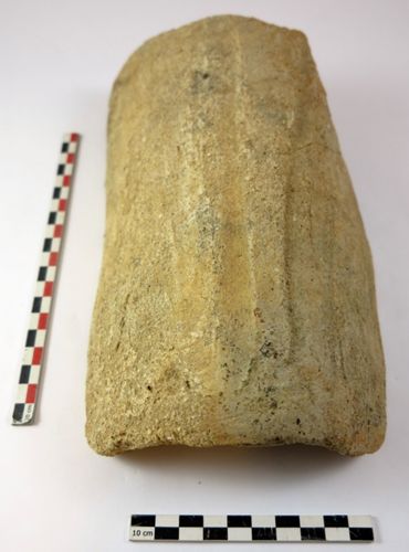 Imbrex du haut Moyen Âge retrouvée sur le site de la "Voie Nouvelle" à Saran. La tuile est façonnée sur la cuisse. On observe, en partie supérieure, les traces laissées par les doigts lors de ce façonnage (Cliché : Isaac Osses ; 2015)