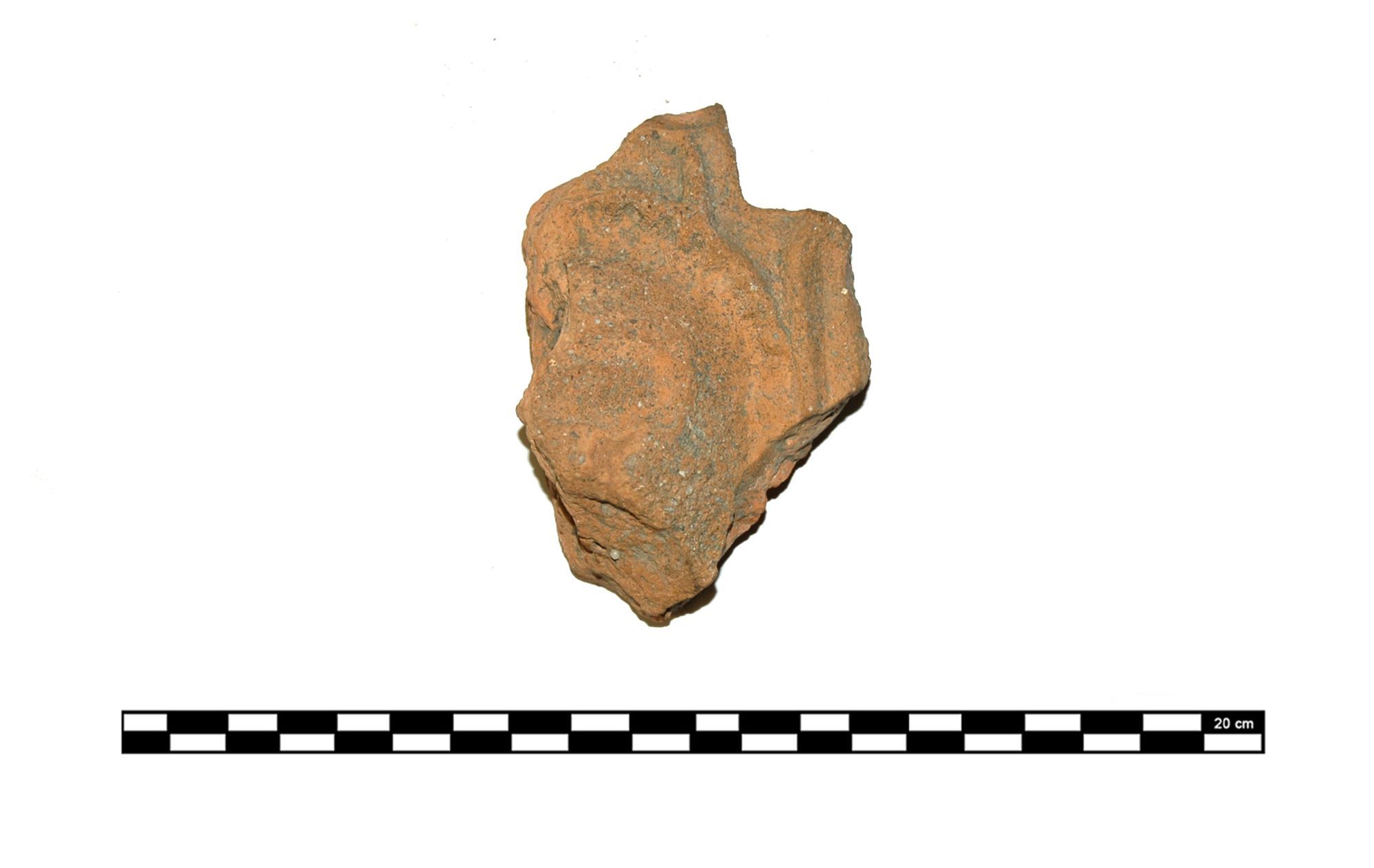 Saran, Lac de la Médecinerie, 79-4-6