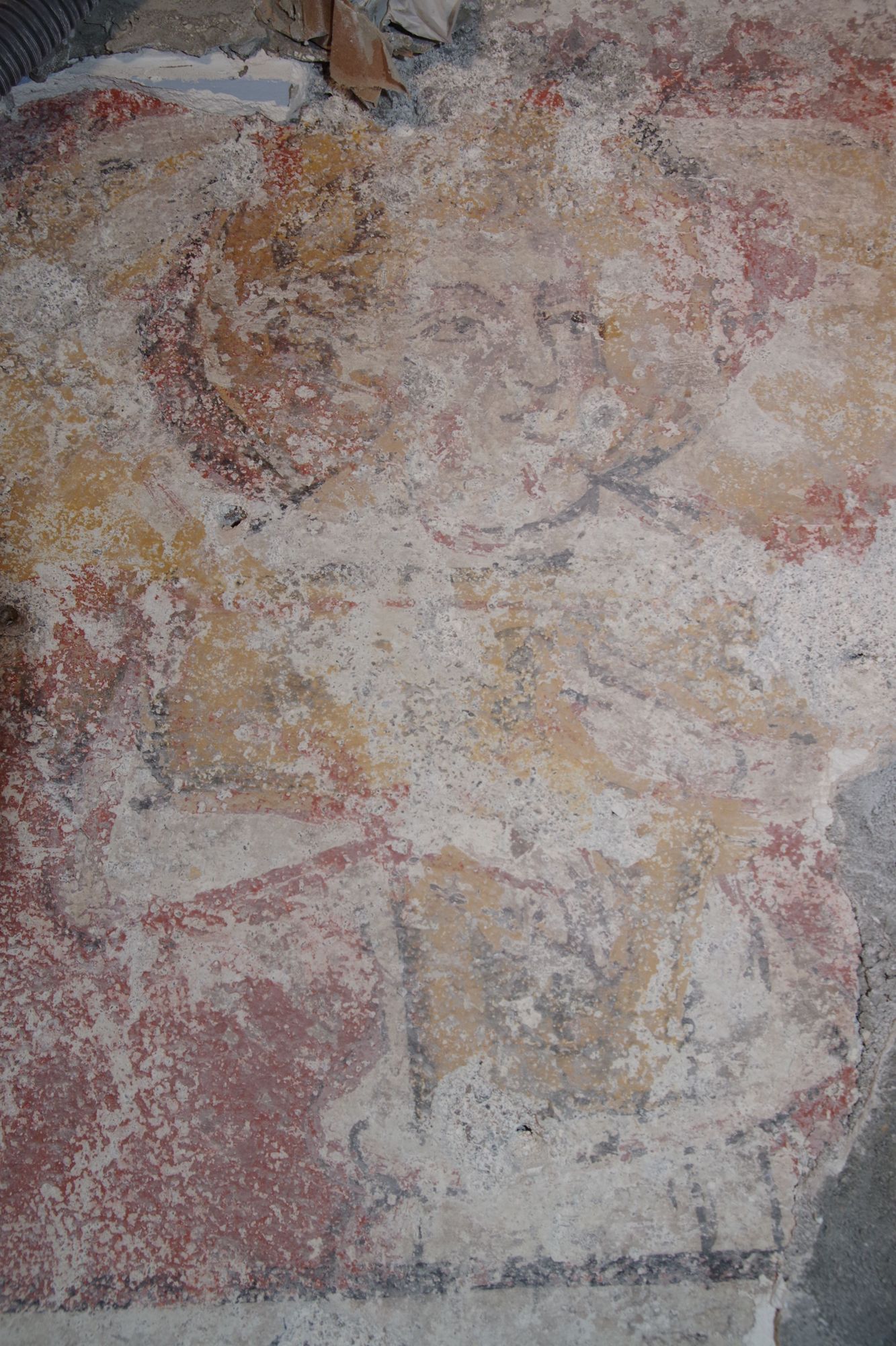 Découverte exceptionnelle