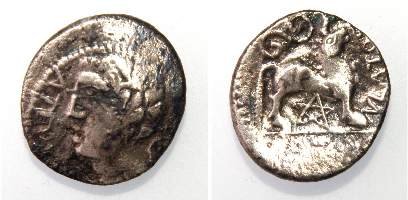 Une monnaie gauloise