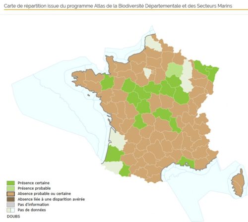 Carte de répartition du pygagrue en France, atlas de la biodiversité départementale (crédits : Museum national d'Histoire Naturelle)