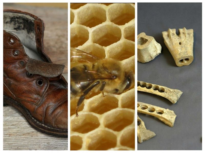 Des animaux à tout faire