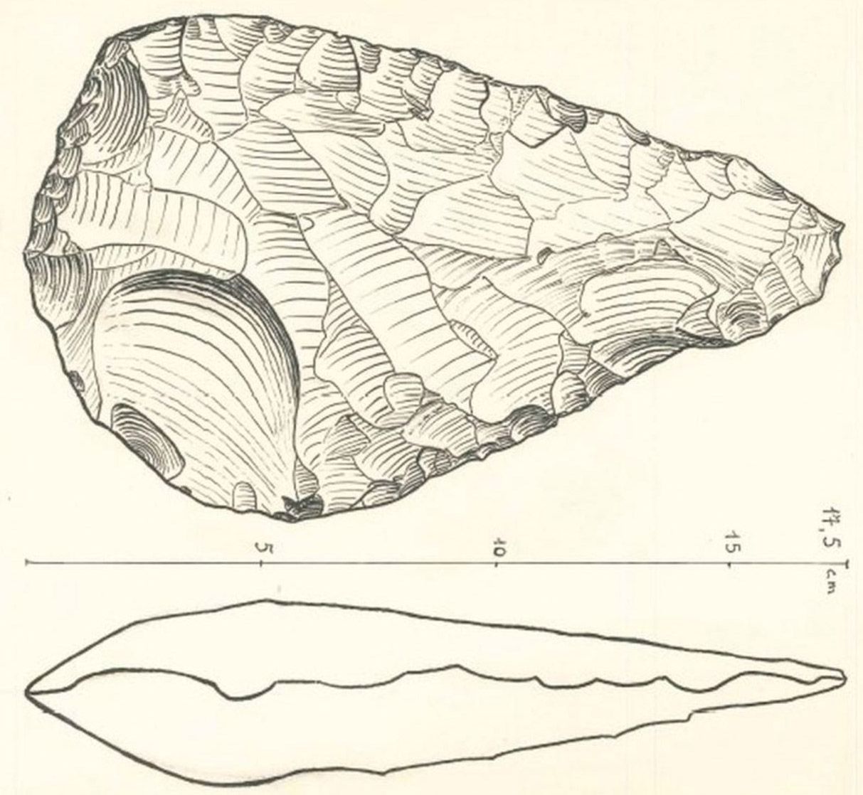 Une préhistoire orléanaise mal connue