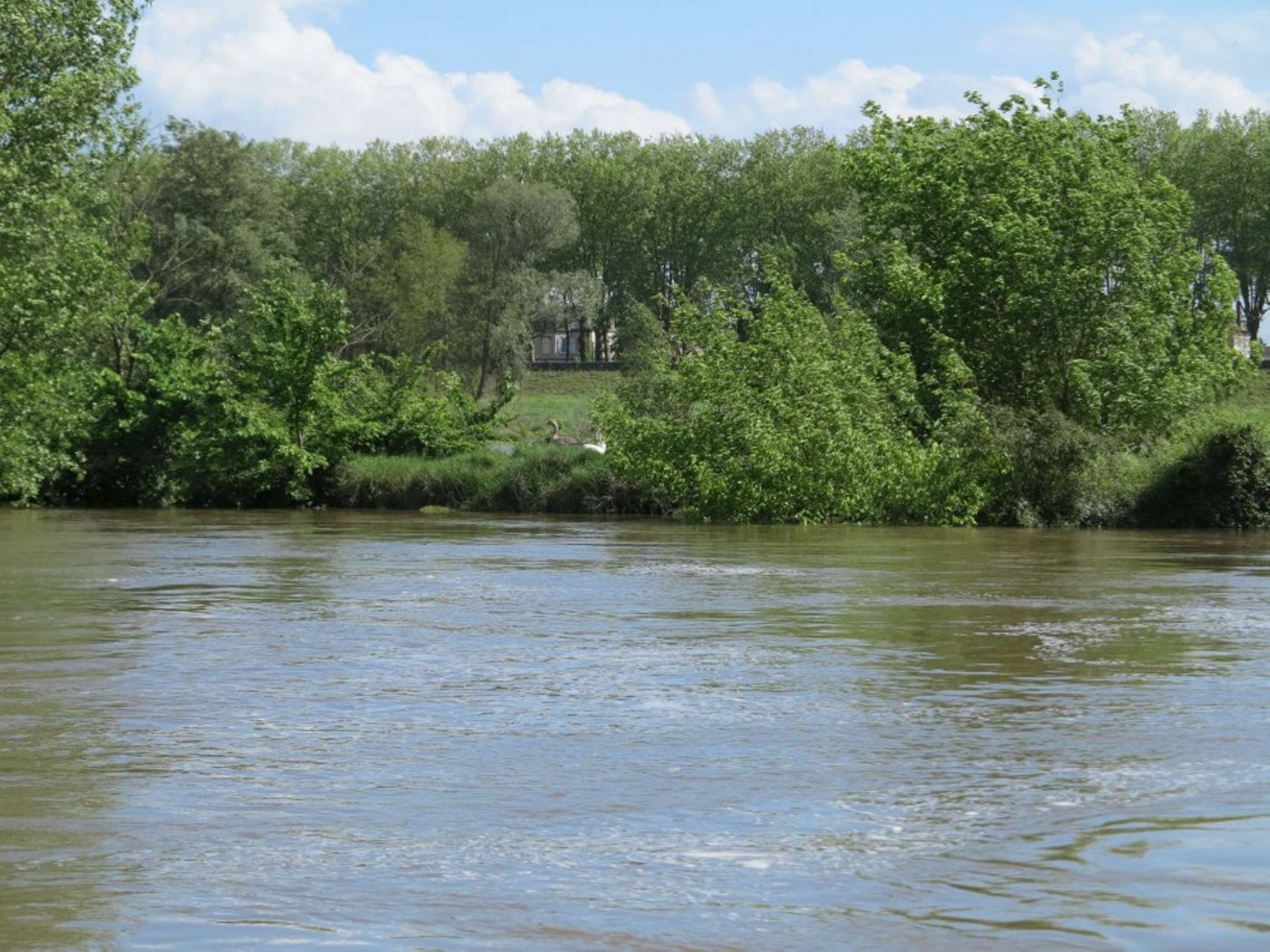 Vivre aux abords du fleuve de l'âge du Bronze à l'âge du Fer