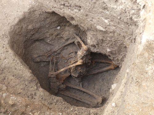Squelette inhumé à genou découvert rue Porte-Saint-Jean à Orléans, fin septembre 2019 (crédits : Pôle d'archéologie, 2019)
