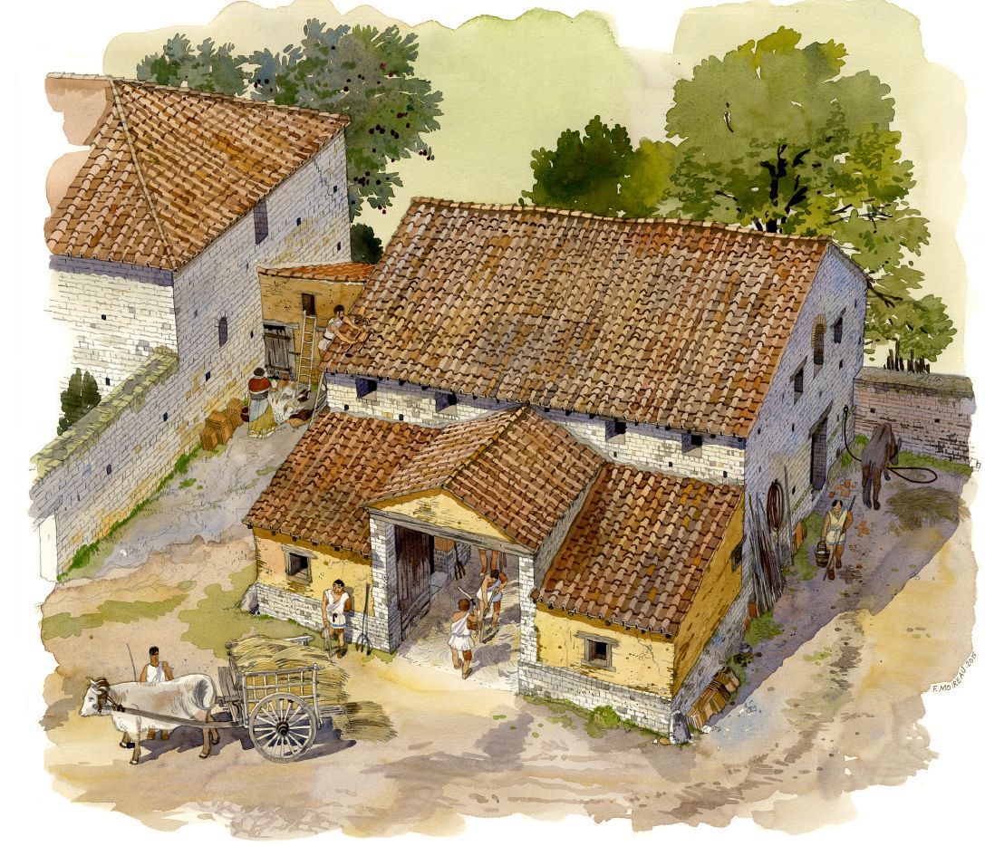 Antiquité - En construction