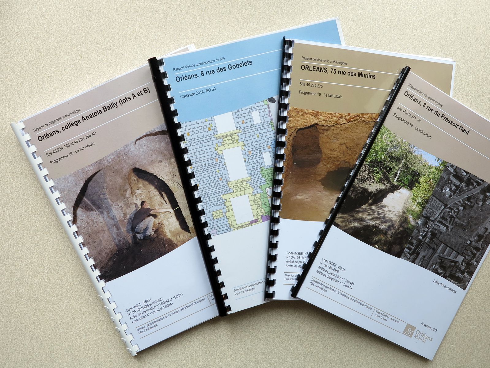 Rapports de fouille en ligne