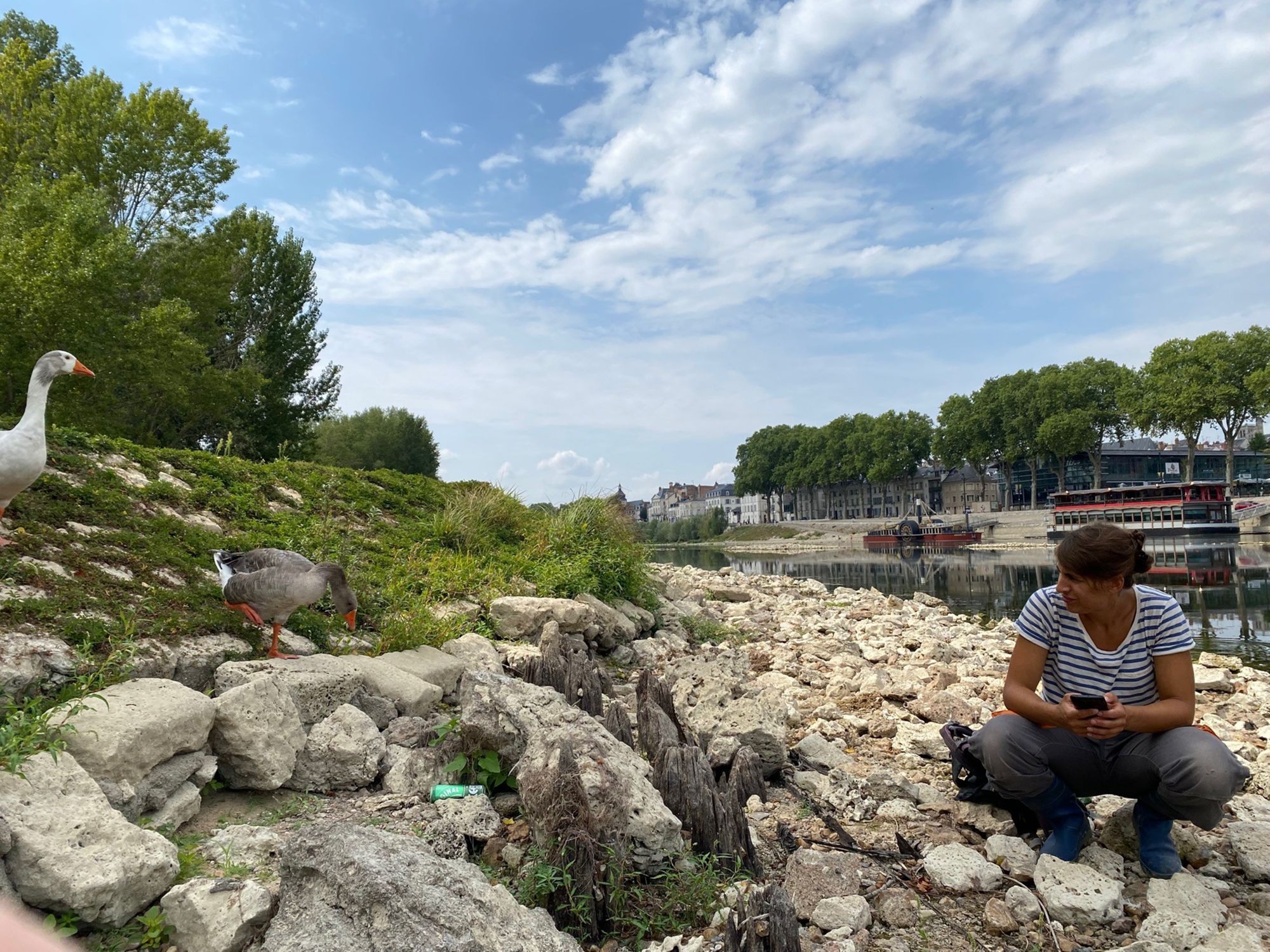 Nous négocions parfois avec des oies sur le duit.
