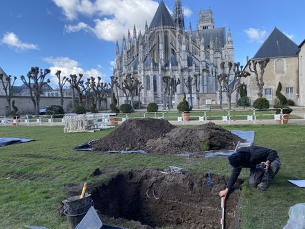 Diagnostic du jardin de l'Evêché - rue Robert de Courtenay