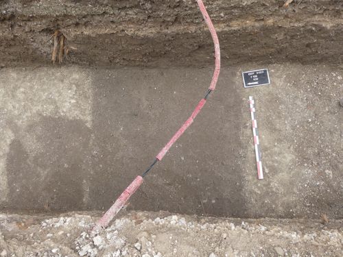 Vue en plan du segment de fossé antique