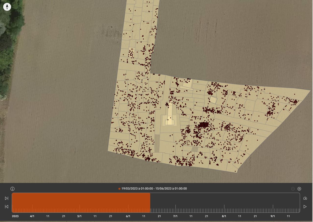 La "topo", qu'est-ce que c'est ?