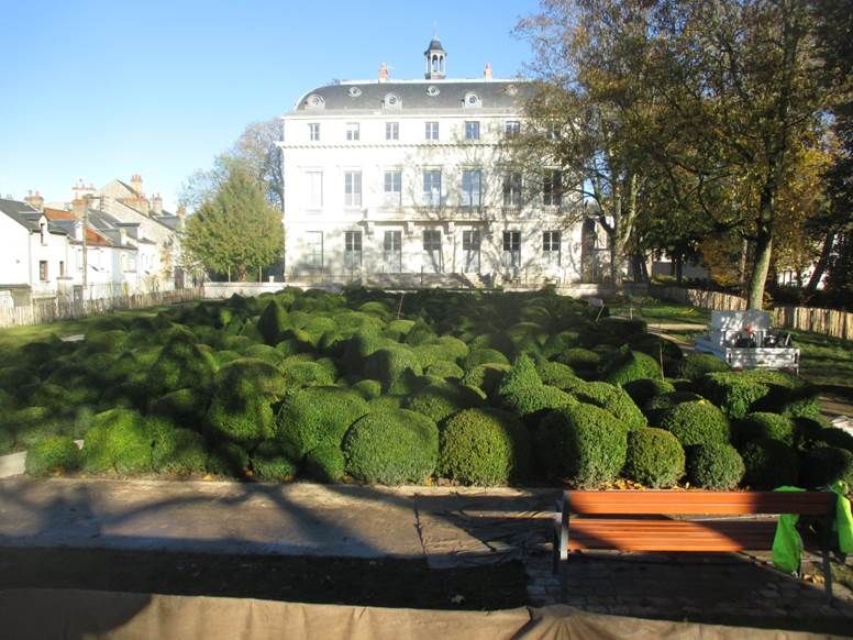 Les buis taillés du jardin Hélène Cadou (crédits : Ville d'Orléans)